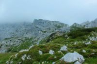 2014-07-24_OsterfelderKopf (397)b.JPG